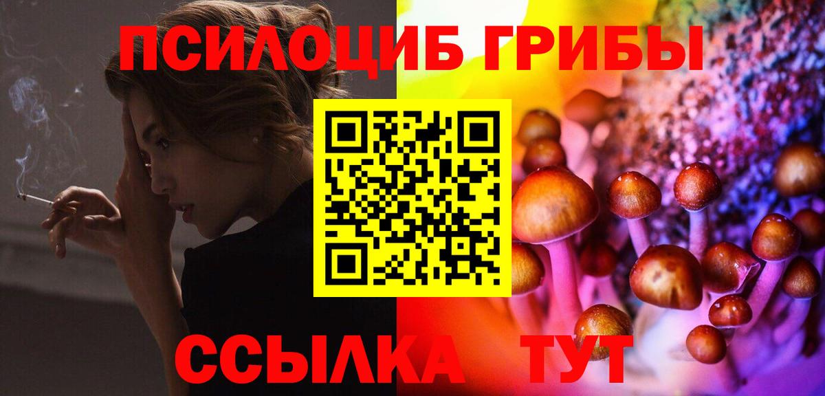 купить наркоту  Вход с VPN  Вышний Волочёк  Псилоцибиновые грибы ЛСД 