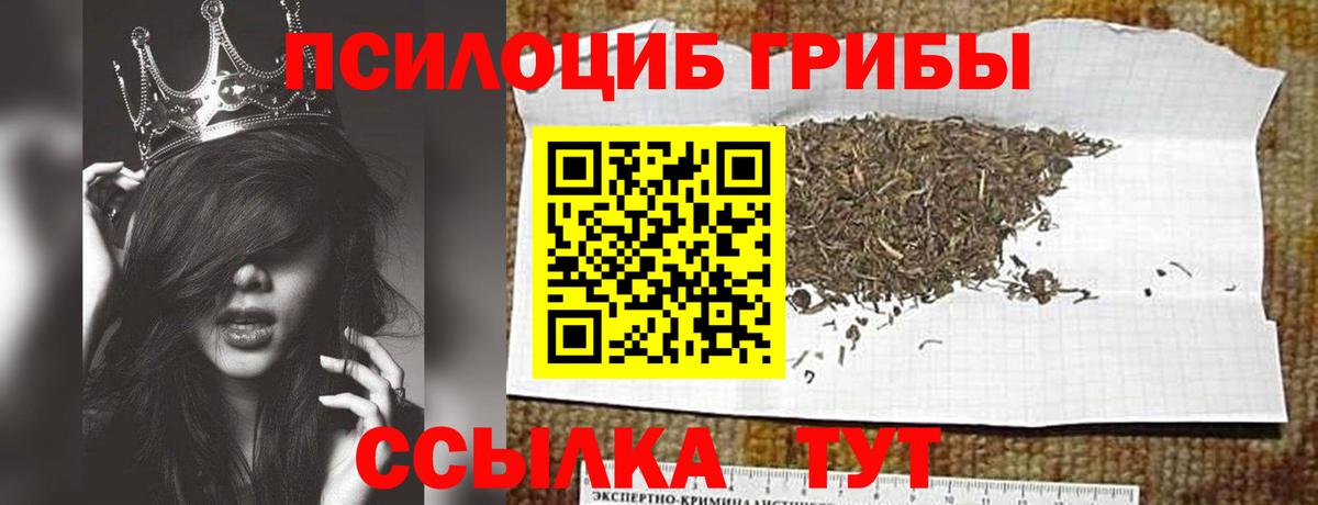 Псилоцибиновые грибы мухоморы Вышний Волочёк